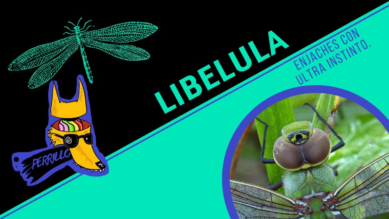 Lib&eacute;lulas: Millones de a&ntilde;os de jachudez. | Ep 49 | CULTURA COLMILLUDA