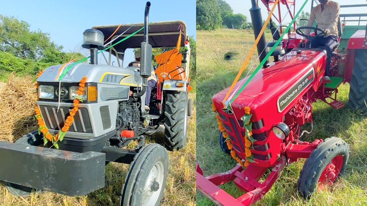 Mahindra 275 Di XP Plus | Eicher 485 Tractor with Paddy Thresher 6 Fan working in Dhan