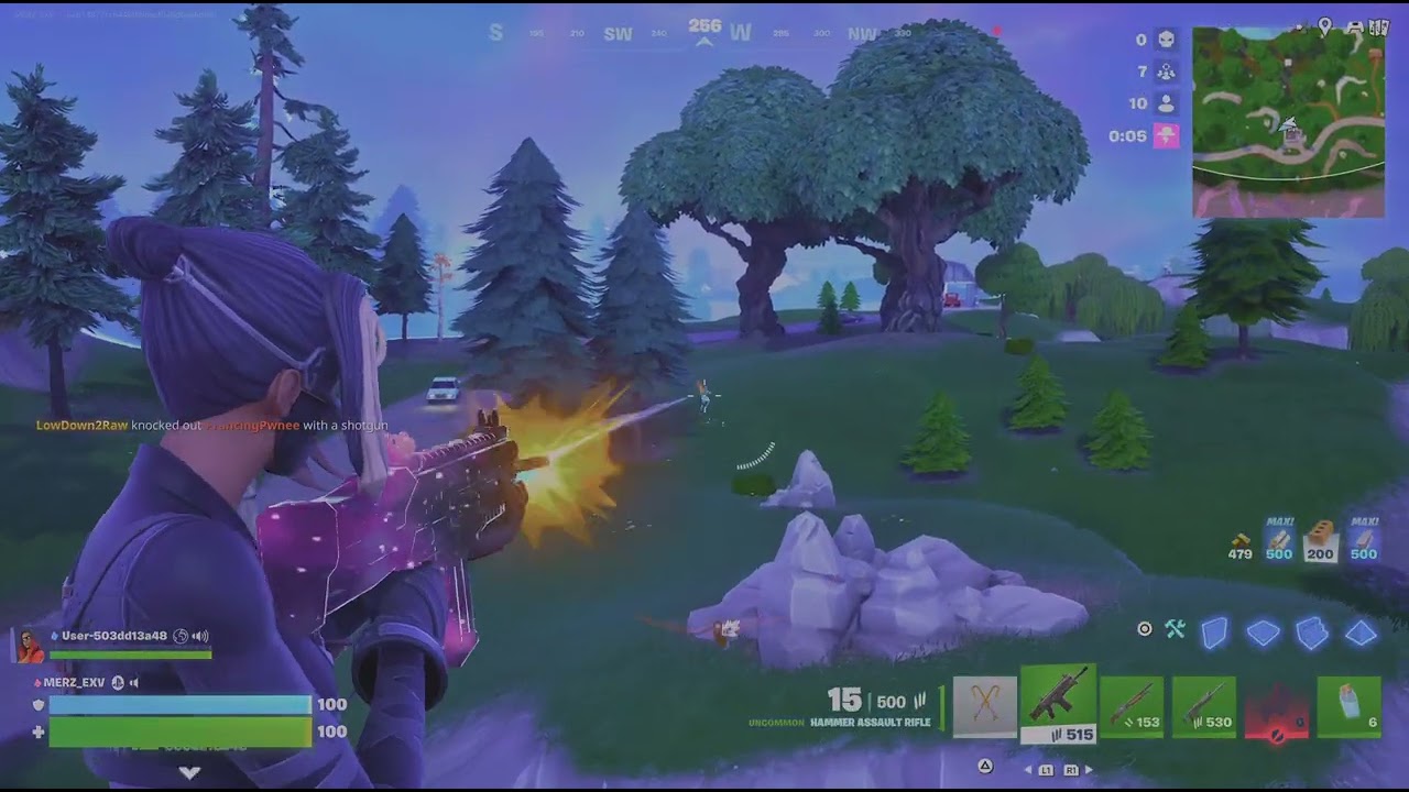 Fortnite