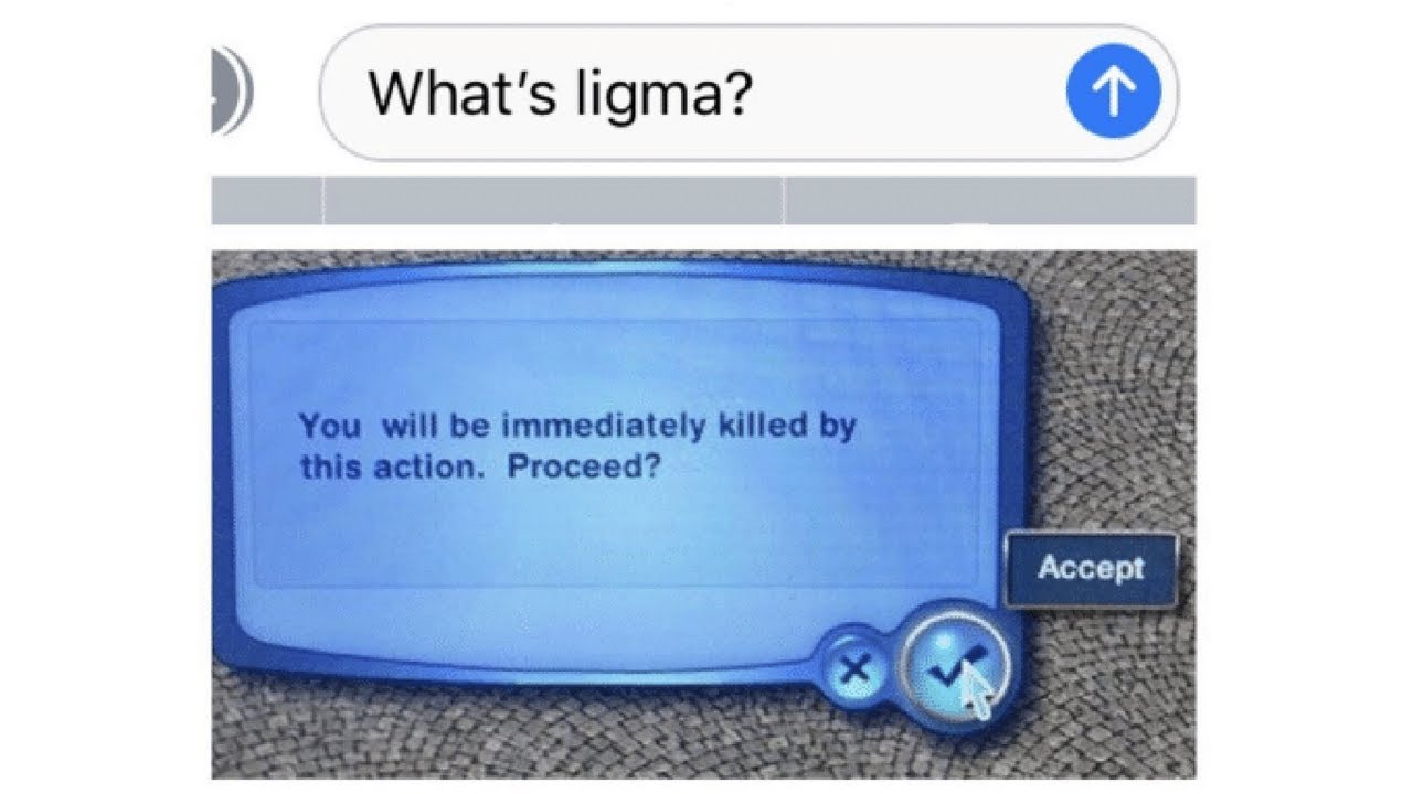 Funny ligma memes