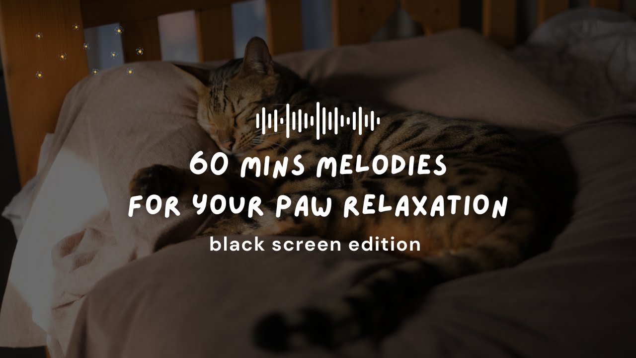 60 Minutes of Pure Calm 🐾 Anxiety Relief for Dogs & Cats