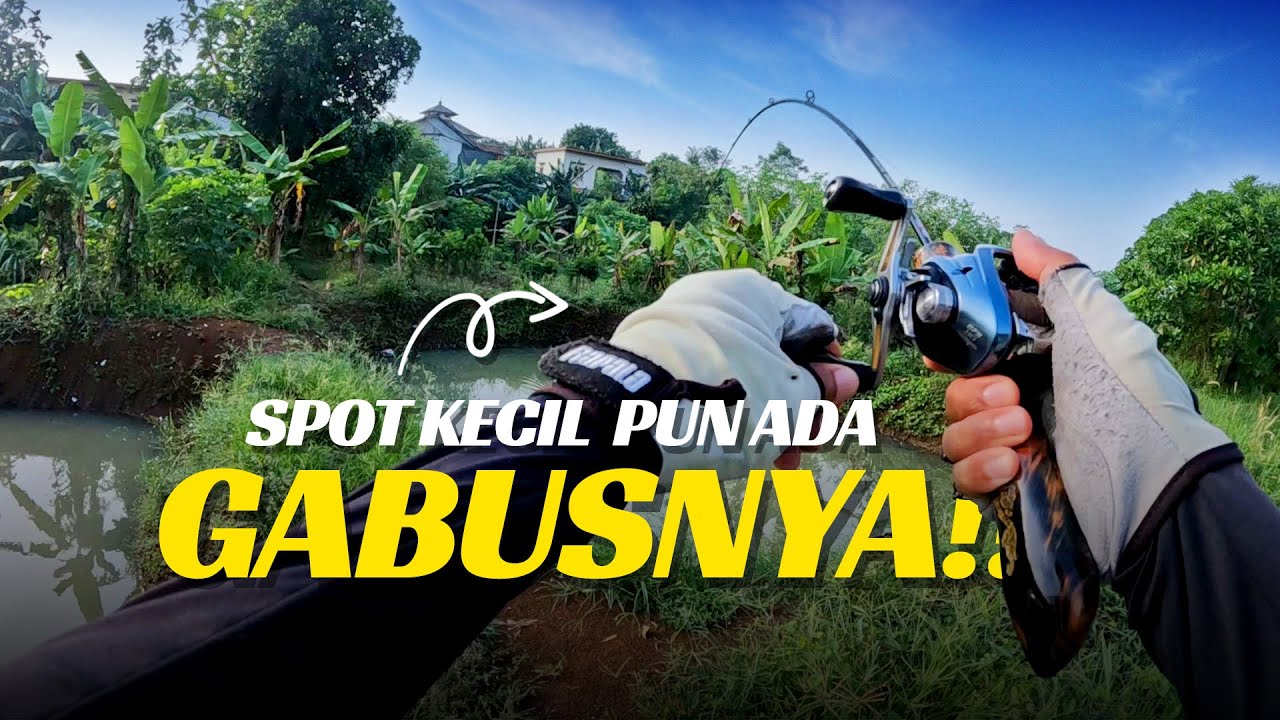 ADA AIR ADA IKAN‼️Casting Gabus Cilangkap DEPOK🎣