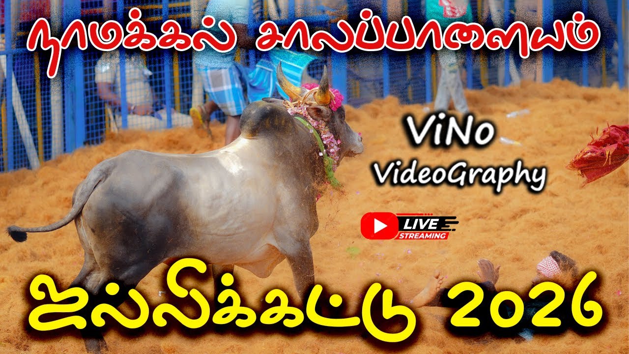 🔴🔴 நாமக்கல் சாலபாளையம் ஜல்லிக்கட்டு 2026 | salappalayam Jallikattu 2026 || ViNo Videography Live 🔴