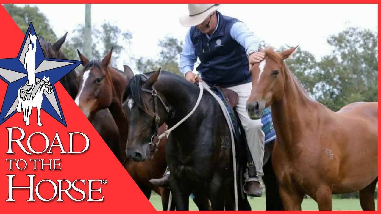 Meet Road to the Horse Competitor and Australian Horseman Guy McLean
