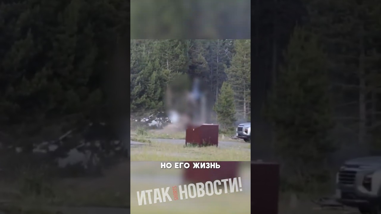 БИЗОН НАПАЛ НА ПЕНСИОНЕРА!