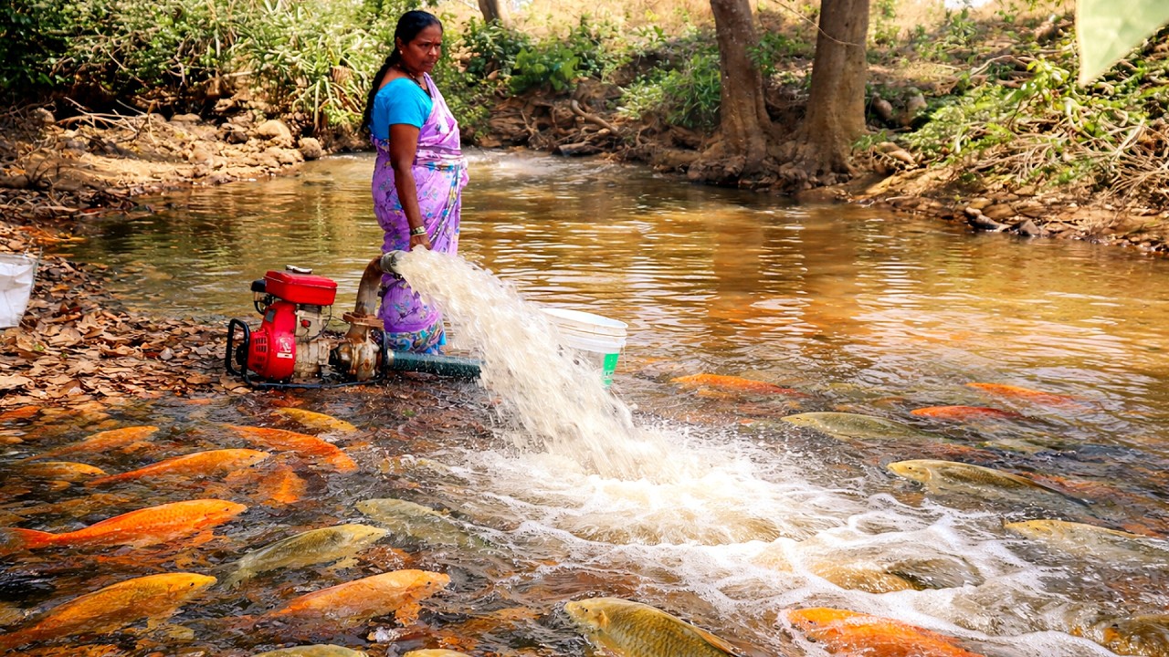 Amazing River Fish Catch with 3HP Pump 😲 | Village Fishing Technique