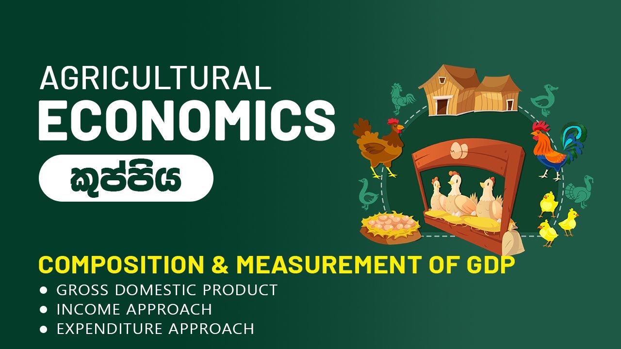 Composition & Measurement of GDP | Income & Expenditure Approaches Explained