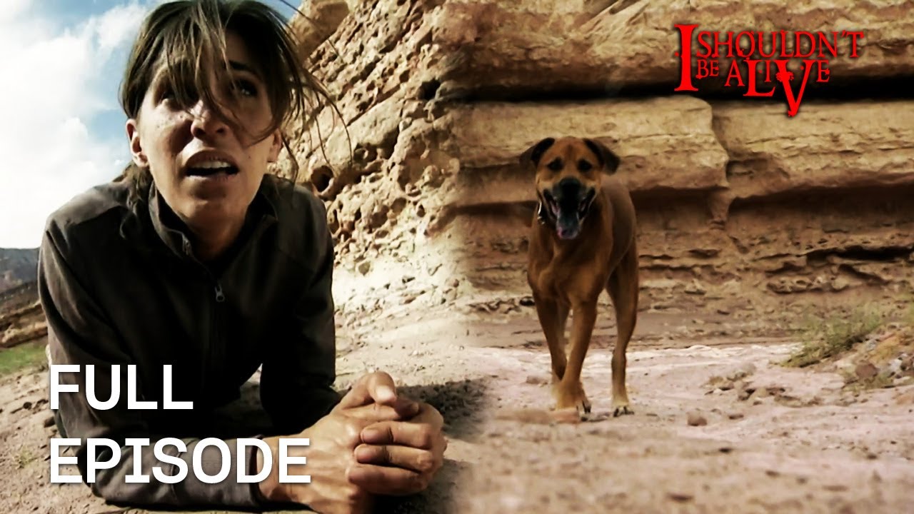 The Power Of A Dogs Bond Saves Owners Life! | S3 E01 | Full Episode | I Shouldn't Be Alive