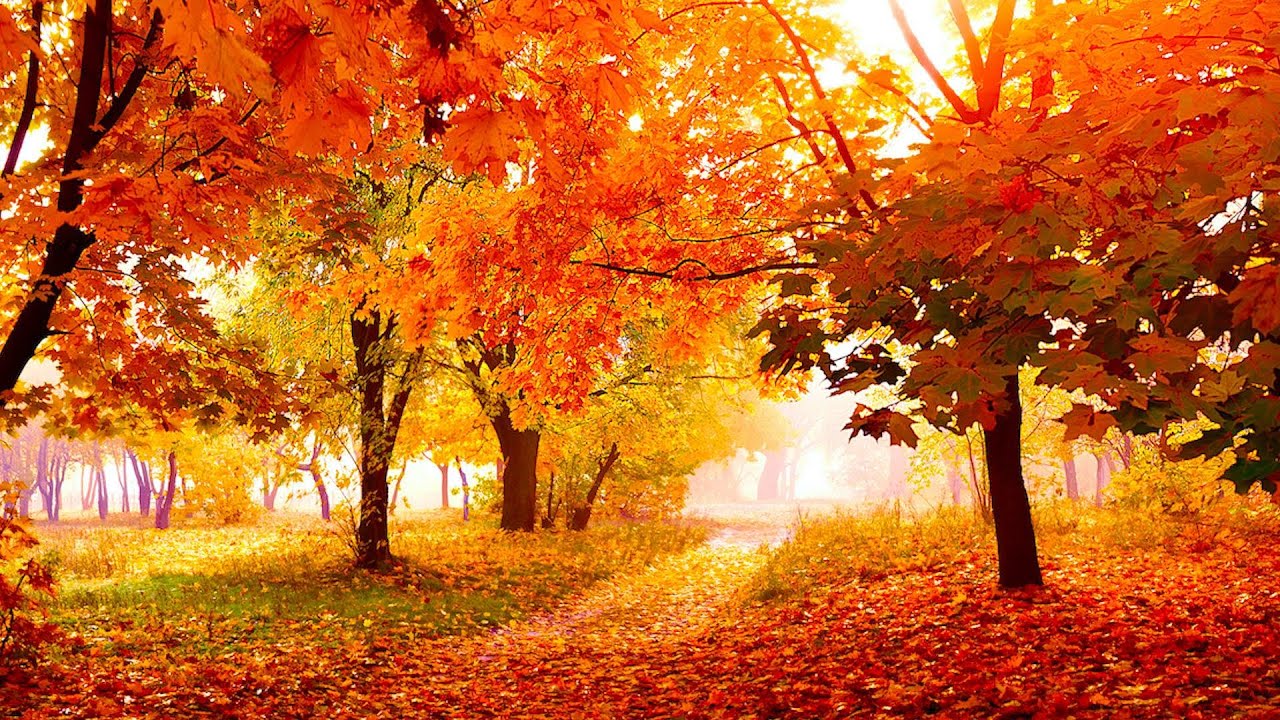 Relaxing Beautiful Instrumental Music, Peace Instrumental Music 