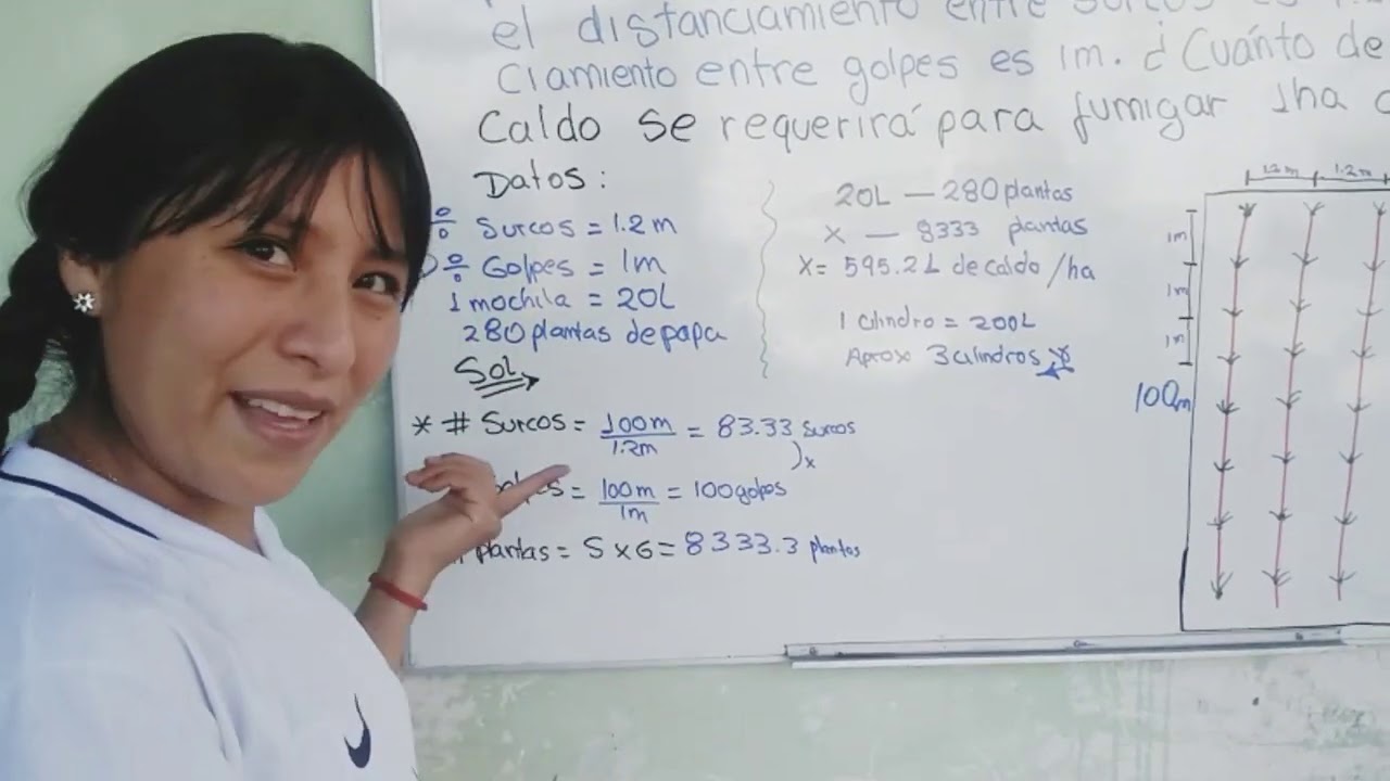 VOLUMEN DE APLICACIÓN O CALDO INSECTICIDA PARA UNA HECTÁREA DE PAPA