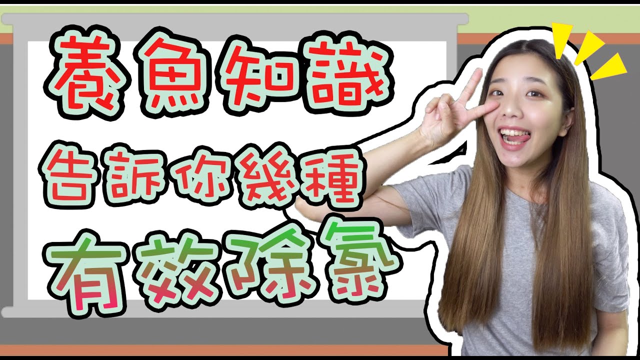為什麼要除氯？｜提供養魚幾種有效除氯的方法 How to Remove Chlorine From Water