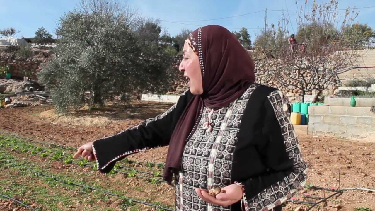 حديقة منزل أم محمد (قصة نجاح من بيت فجّار)