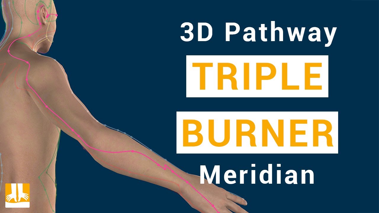 Triple Burner Meridian - 3D pathway from point to point