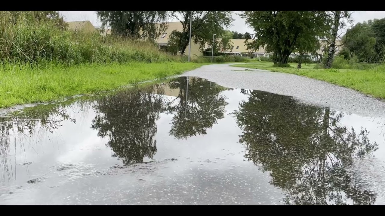 Bækkestien   våd sommer 2023