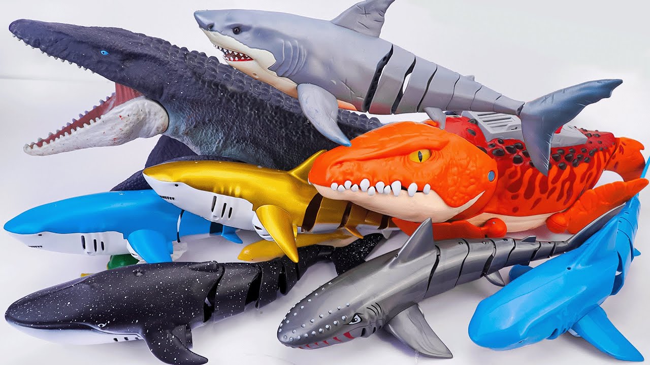[🐋toy asmr🐋] ZURU Robo Mosasaurus & Sea Dinosaurs & Blue Shark & Dino Battle Toys ASMR 🌟 Review Toys