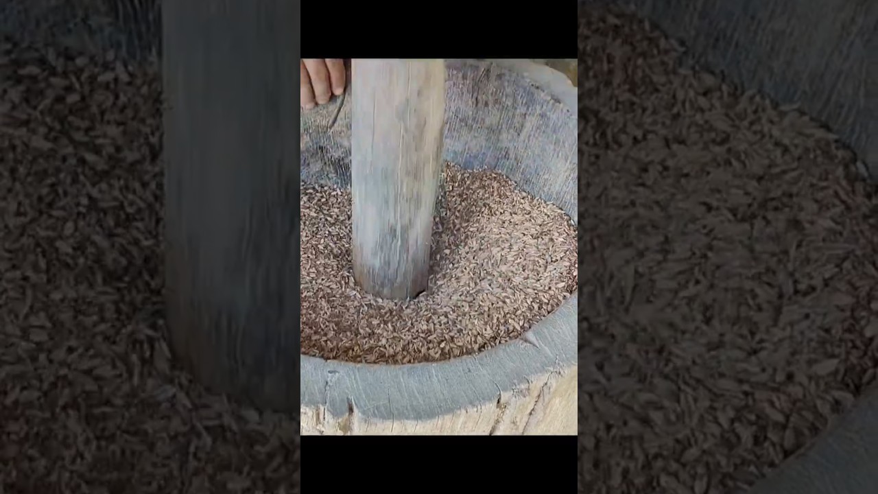 hulling in old traditional way#villagelife #traditional#harvesting #paddy