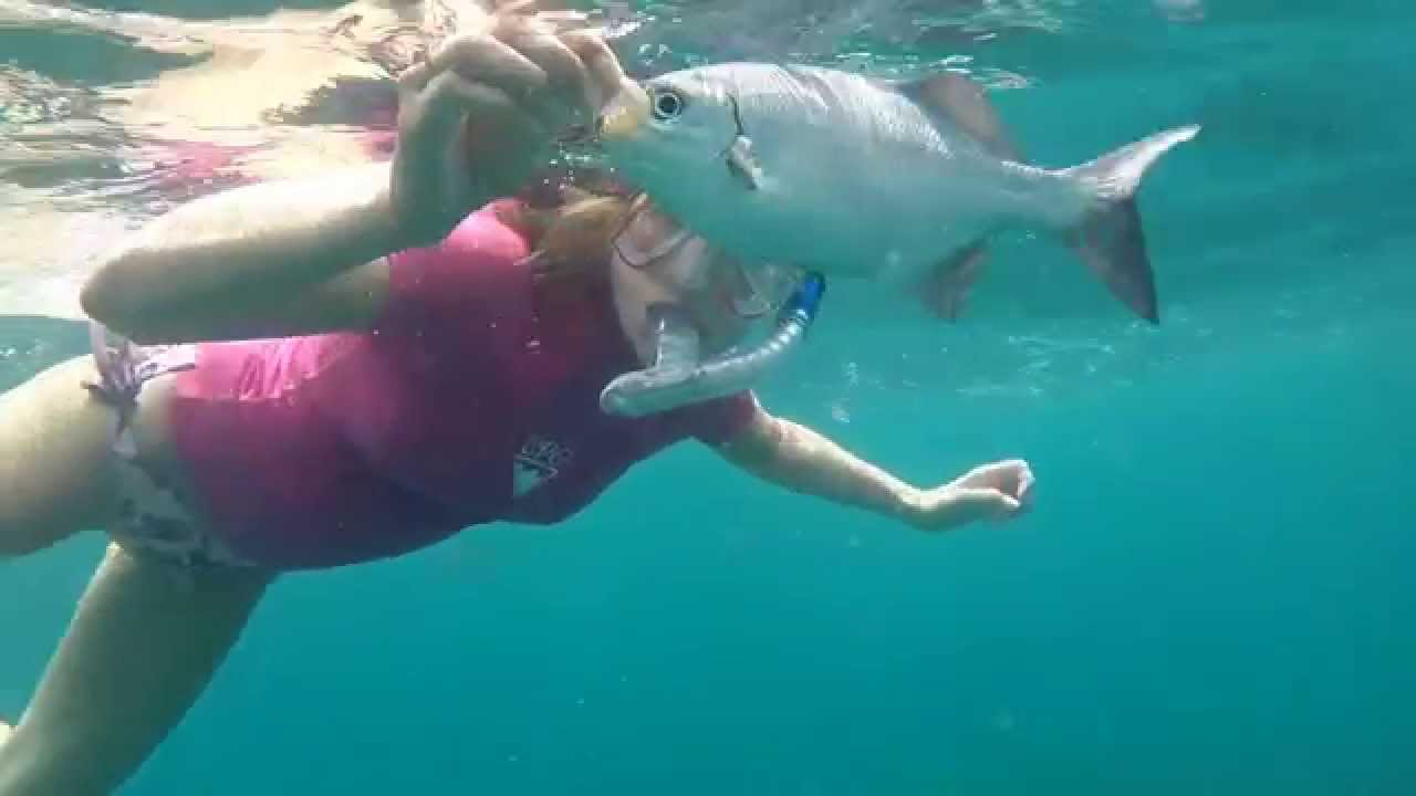 Key Largo Snorkeling 2014