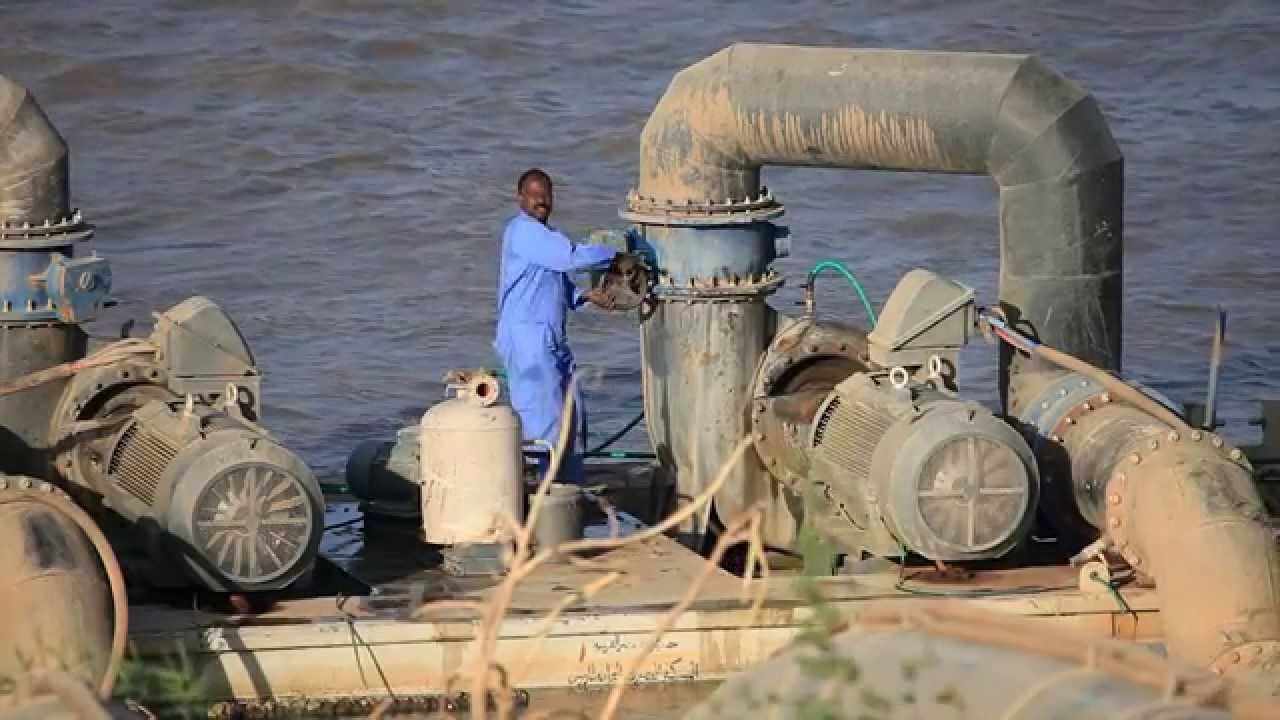 مشروع الكفاءة الزراعي السودان الراجحي الزراعية