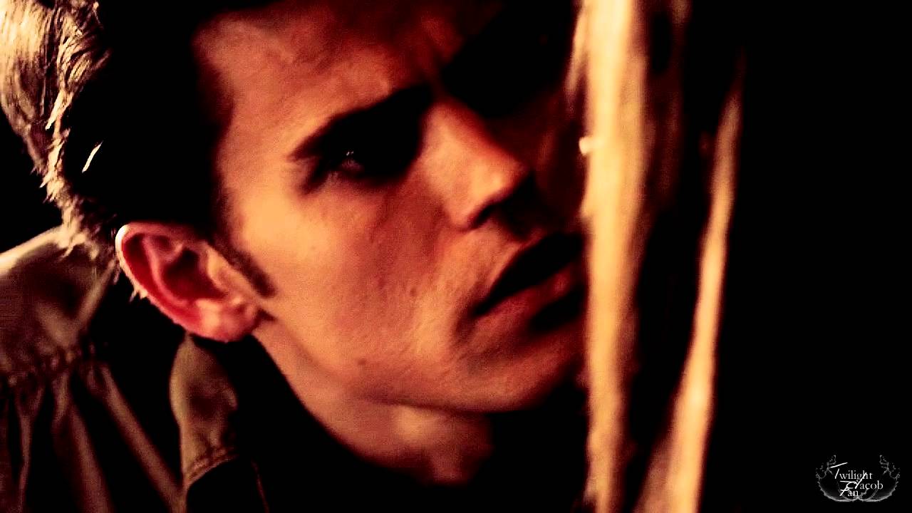 ►Stefan + Elena | Halo