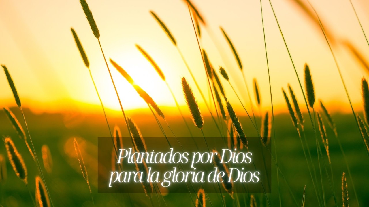 Plantados por Dios para la gloria de Dios
