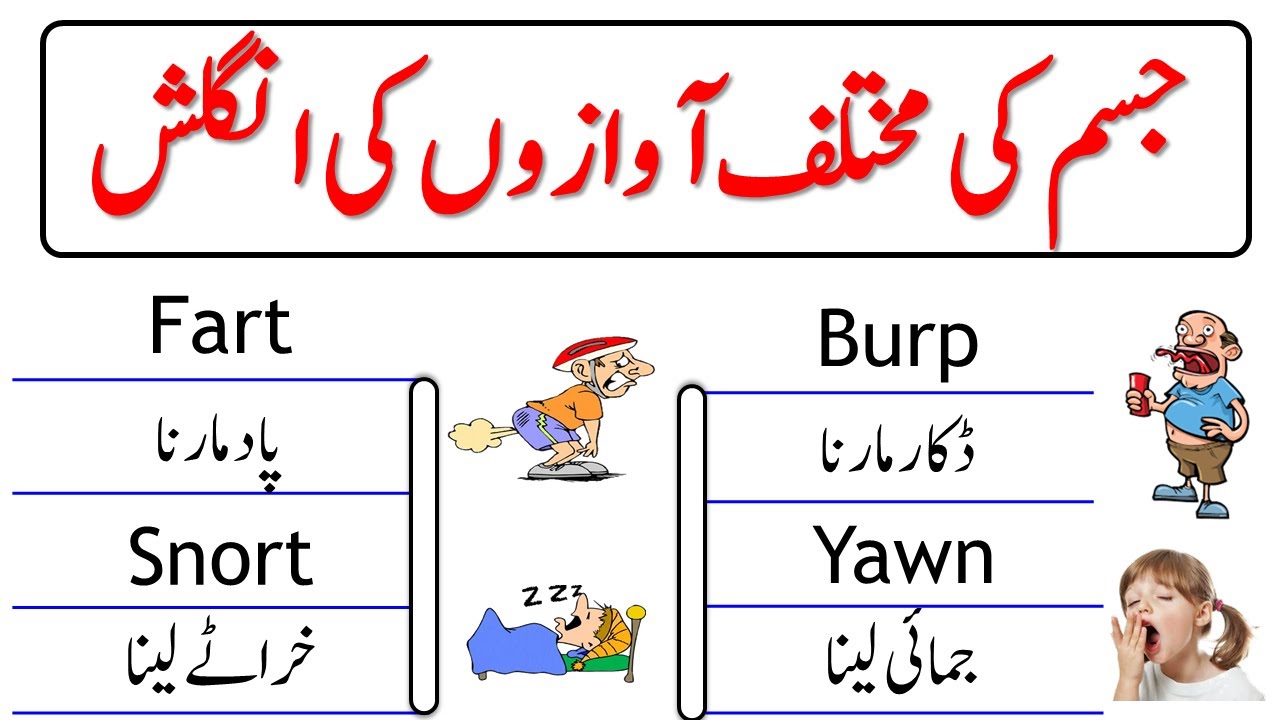 30 Body Sounds Names in English with Urdu Meanings | @englishwithwaqas
