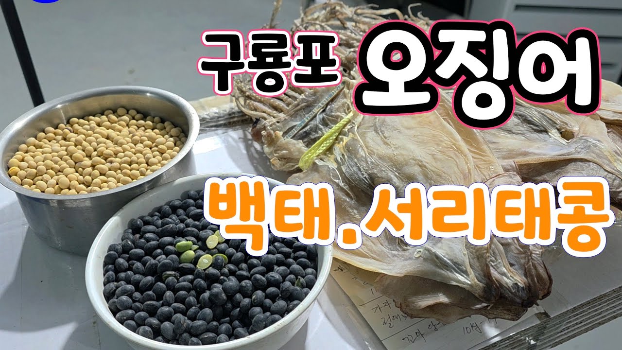 국내산 구룡포 오징어!들깨.참깨.백옥찹쌀