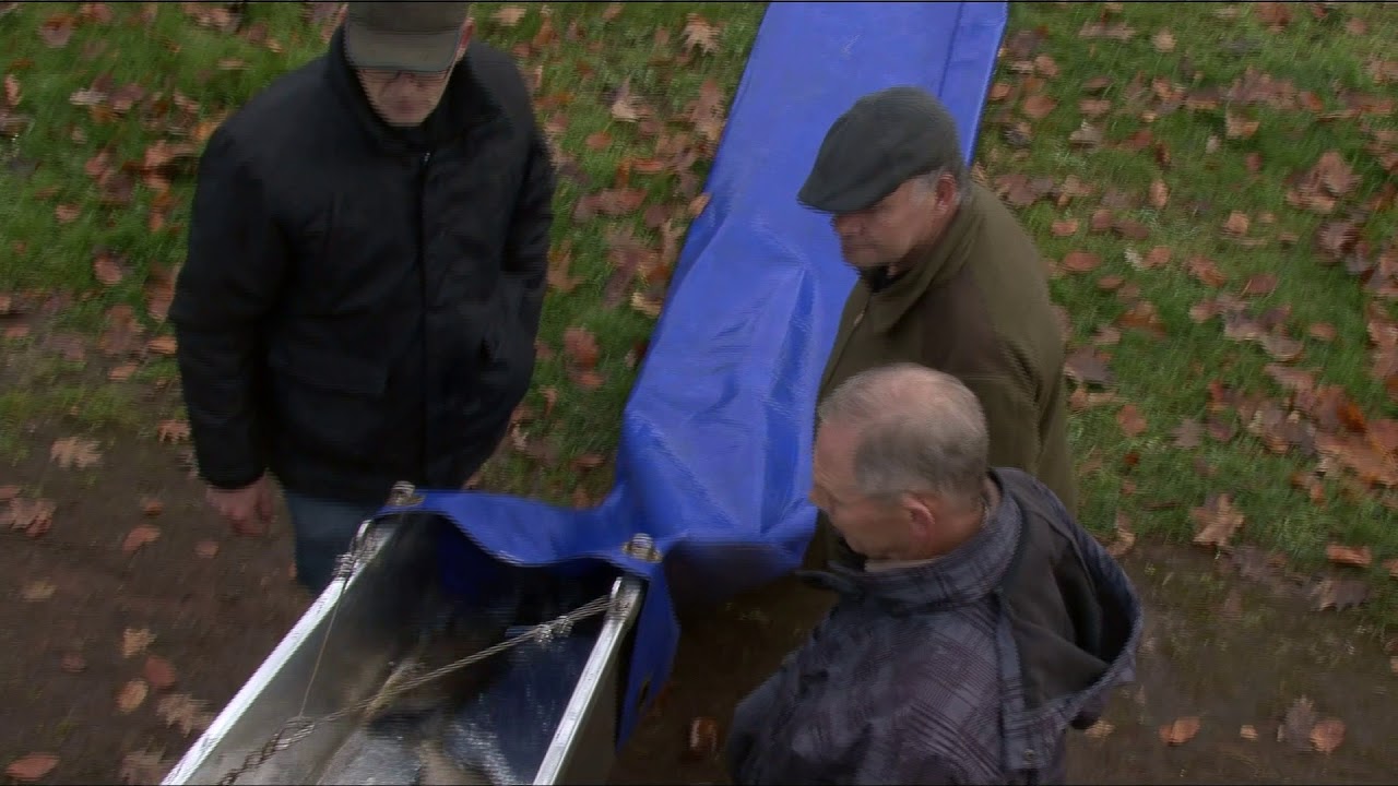 20171130 Jaarlijkse Vis Uitzetting HSV Schijndel