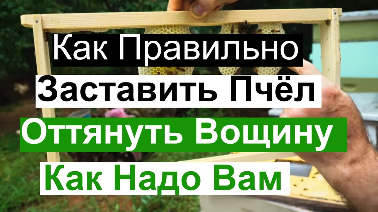 Пасека#89 Как Правильно Заставить Пчёл, Оттянуть Вощину Как надо вам Пчеловодство для начинающих
