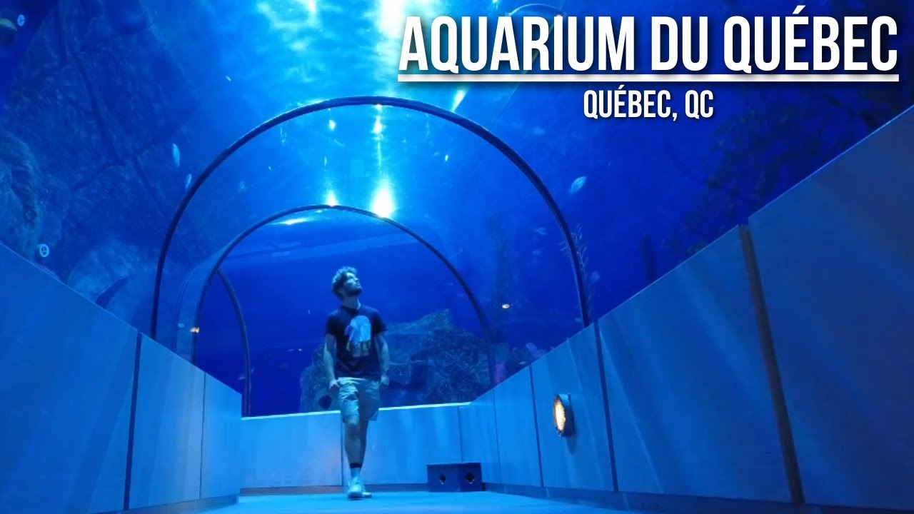 UNE JOURNÉE À L'AQUARIUM DU QUÉBEC !
