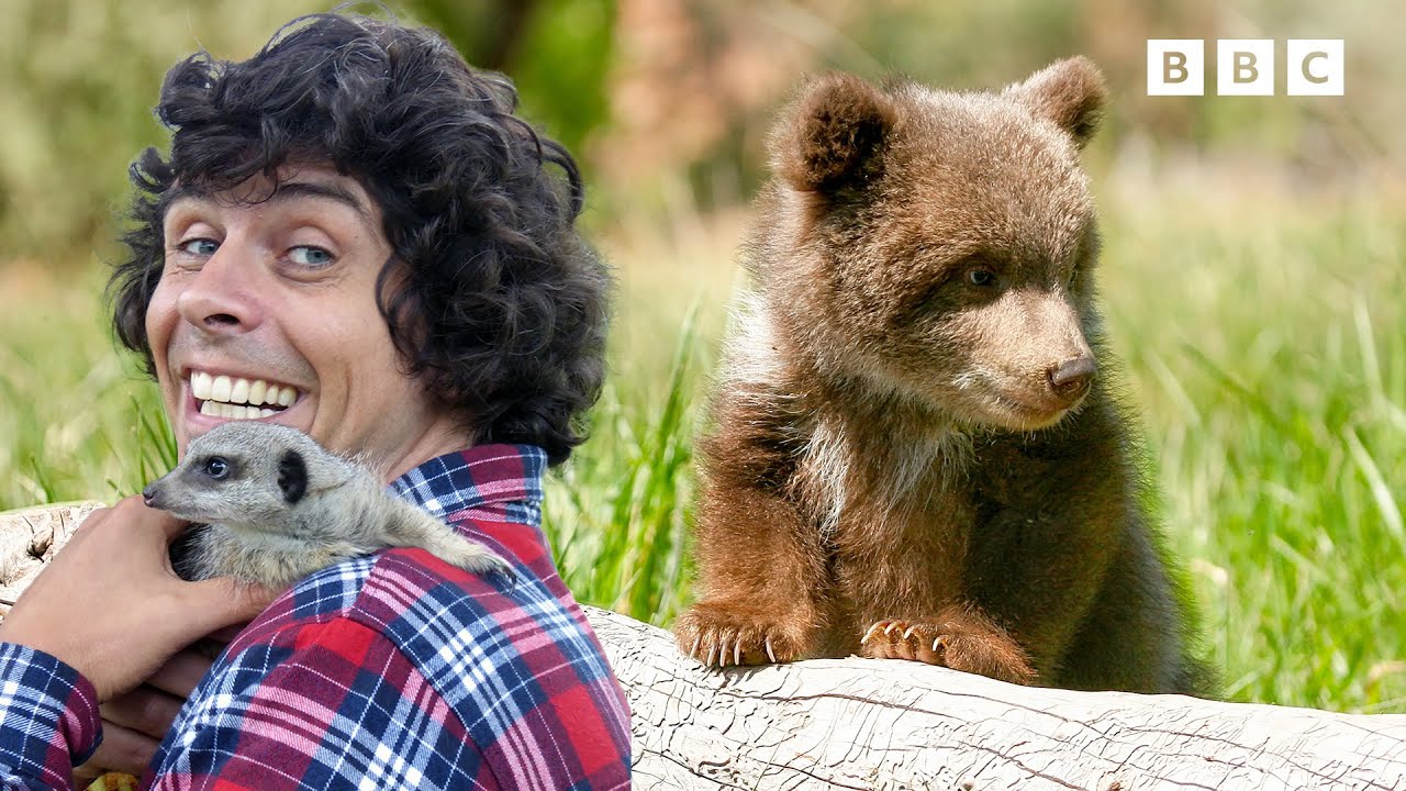Andy and the Baby Animals! | Andy's Amazing Adventures