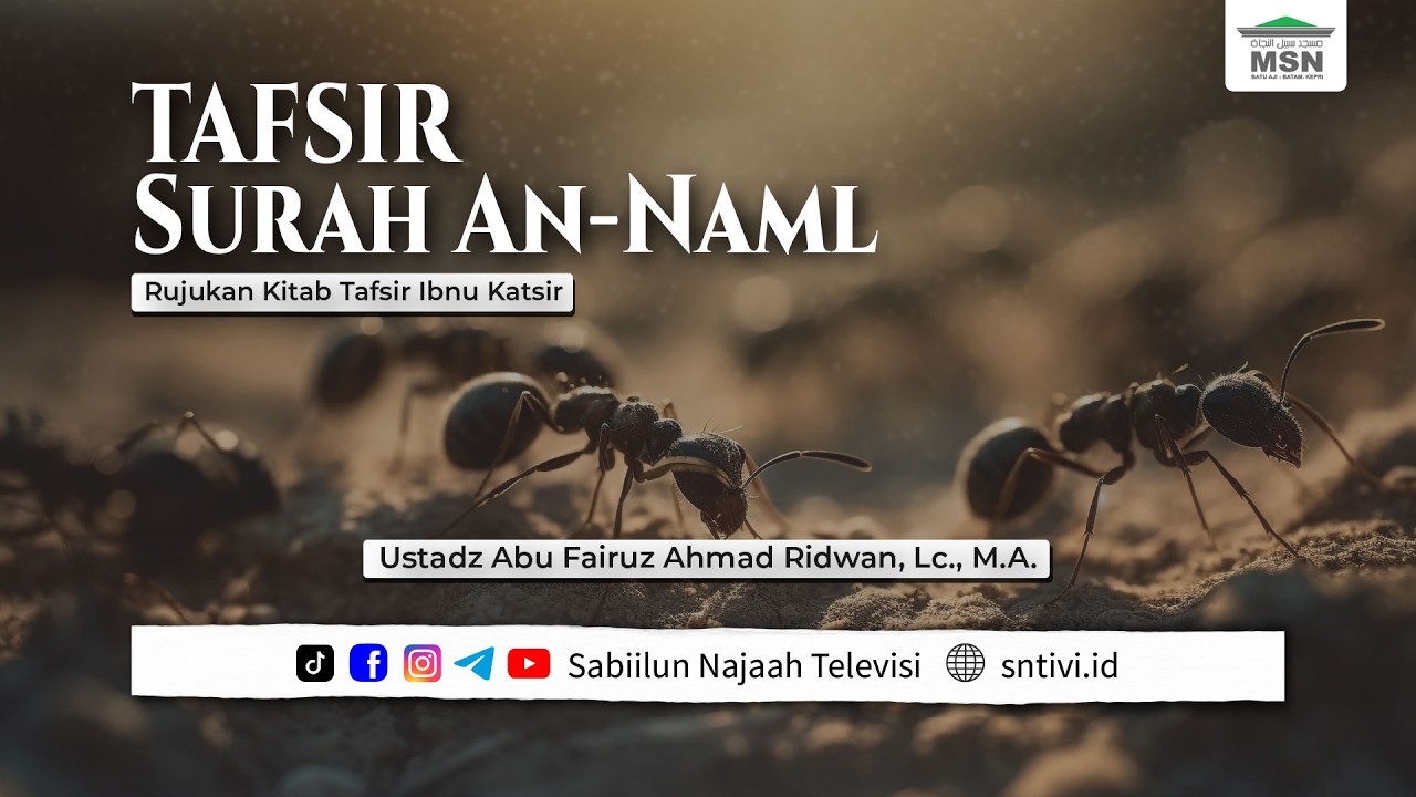 Tafsir Ibnu Katsir: Surat An-Naml #7 | Ayat 62