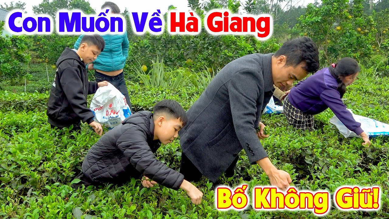 CON MUỐN VỀ HÀ GIANGI! Chá Tỏ Rõ Thái Độ Khi Phải Đi Lao Động Vất Vả