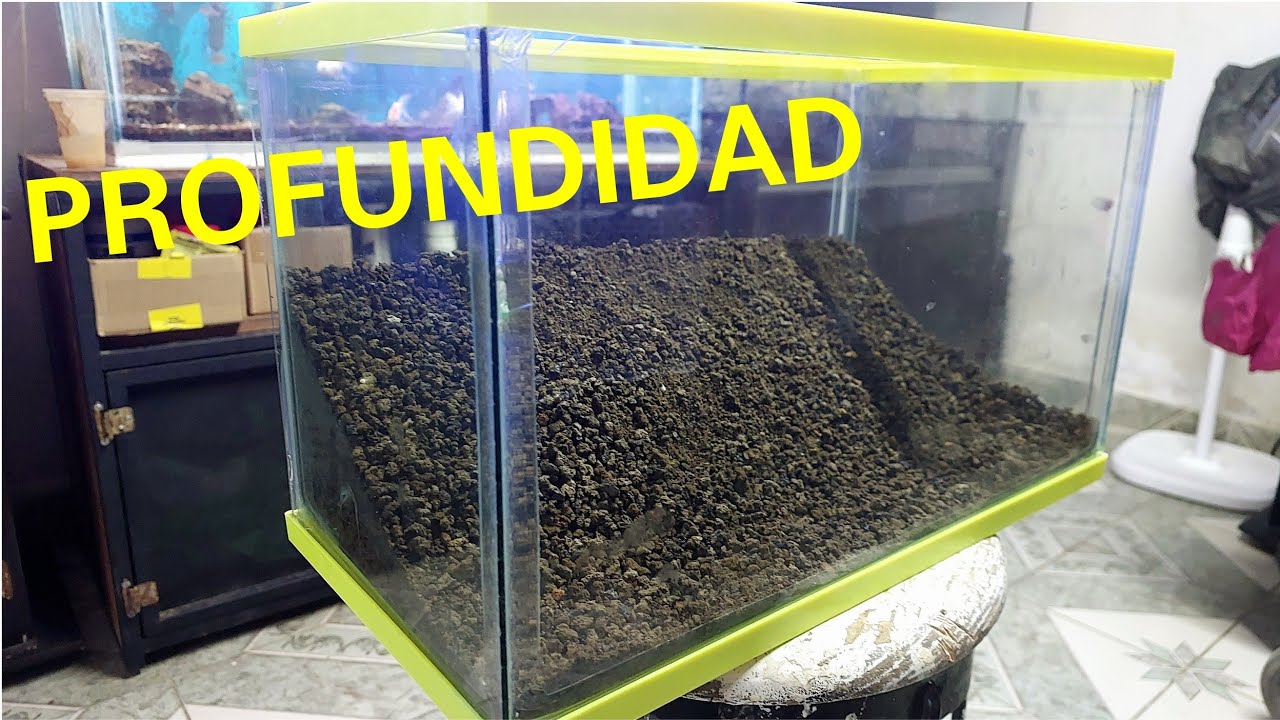 ¿COMO ACOMODAR EL SUSTRATO EN UN AQUASCAPING PARA DARLE PROFUNDIDAD?