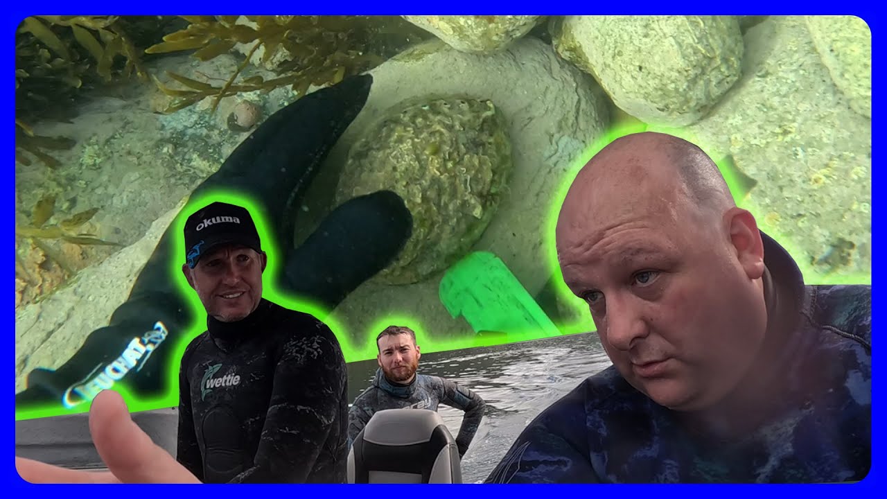 Получили пять легальных! Алфи съест KINA? | Часть 2