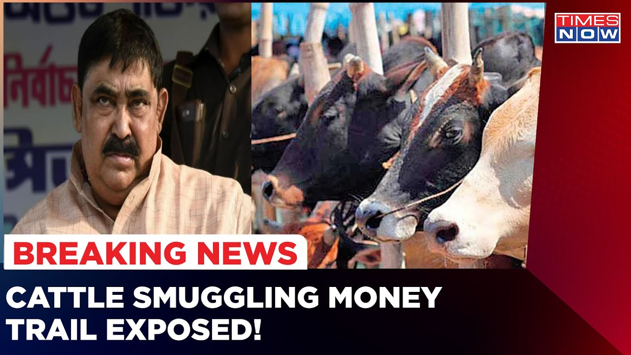 Cattle Smuggling Money Trail Exposed; Judge Receives Threats To Release Anubrata Mondal | TImes Now