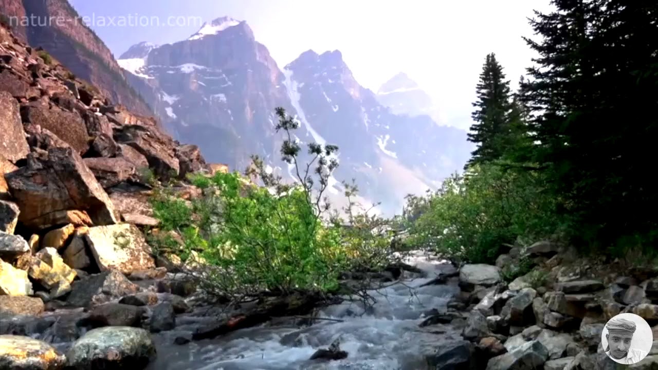 زلاف الربش يامحني القدم