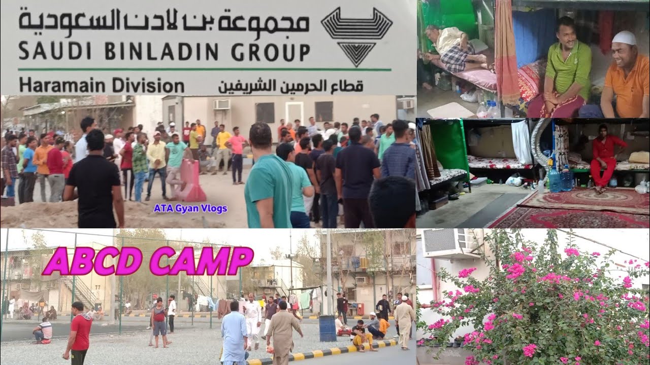 ABCD Binladen Camp ||Saudi Binladen Camp Askan