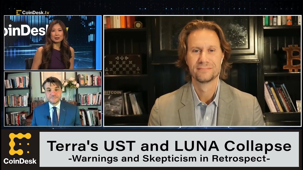 Terra's UST and LUNA Collapse: Warnings and Skepticism in Retrospect