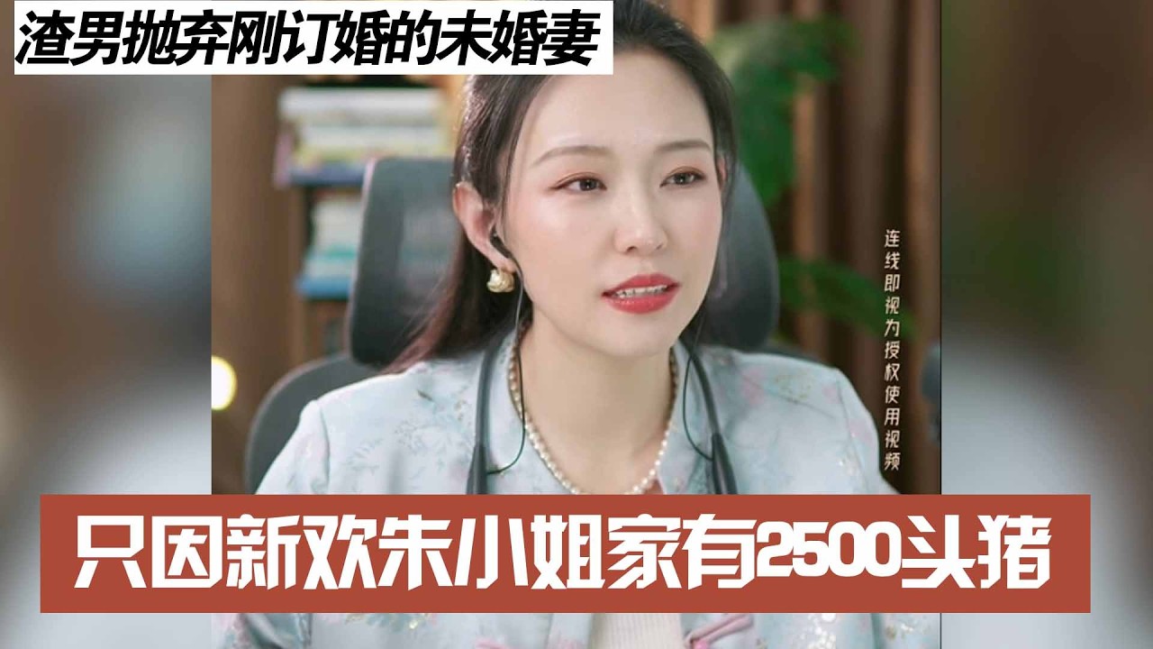 渣男抛弃刚订婚的未婚妻，只因新欢朱小姐家有2500头猪