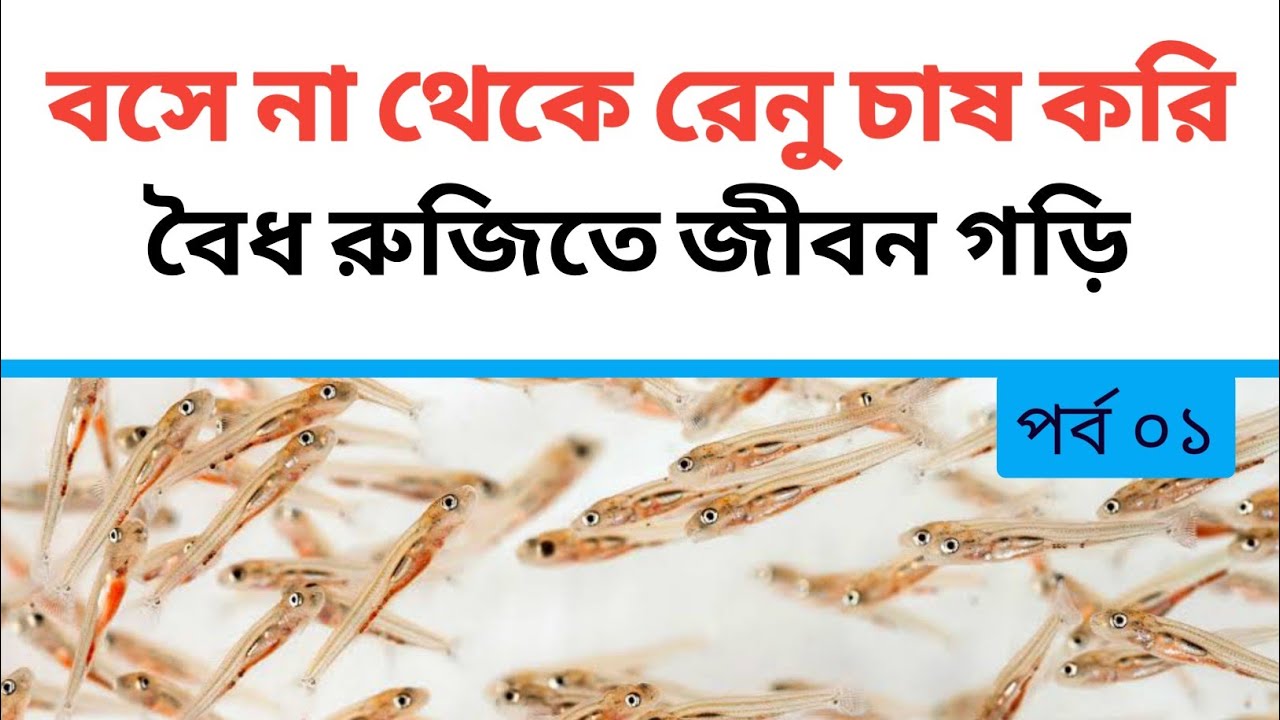 রুই মৃগেল কারপিও পুটি | সকল সাদা মাছের রেনু চাষ পদ্ধতি | Renu Cultivation Method of White Fish
