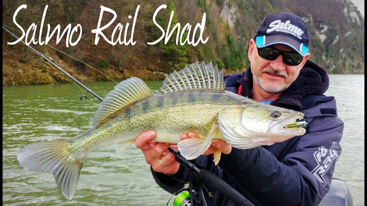 Rail Shad Salmo - Czorsztyńskie sandacze !