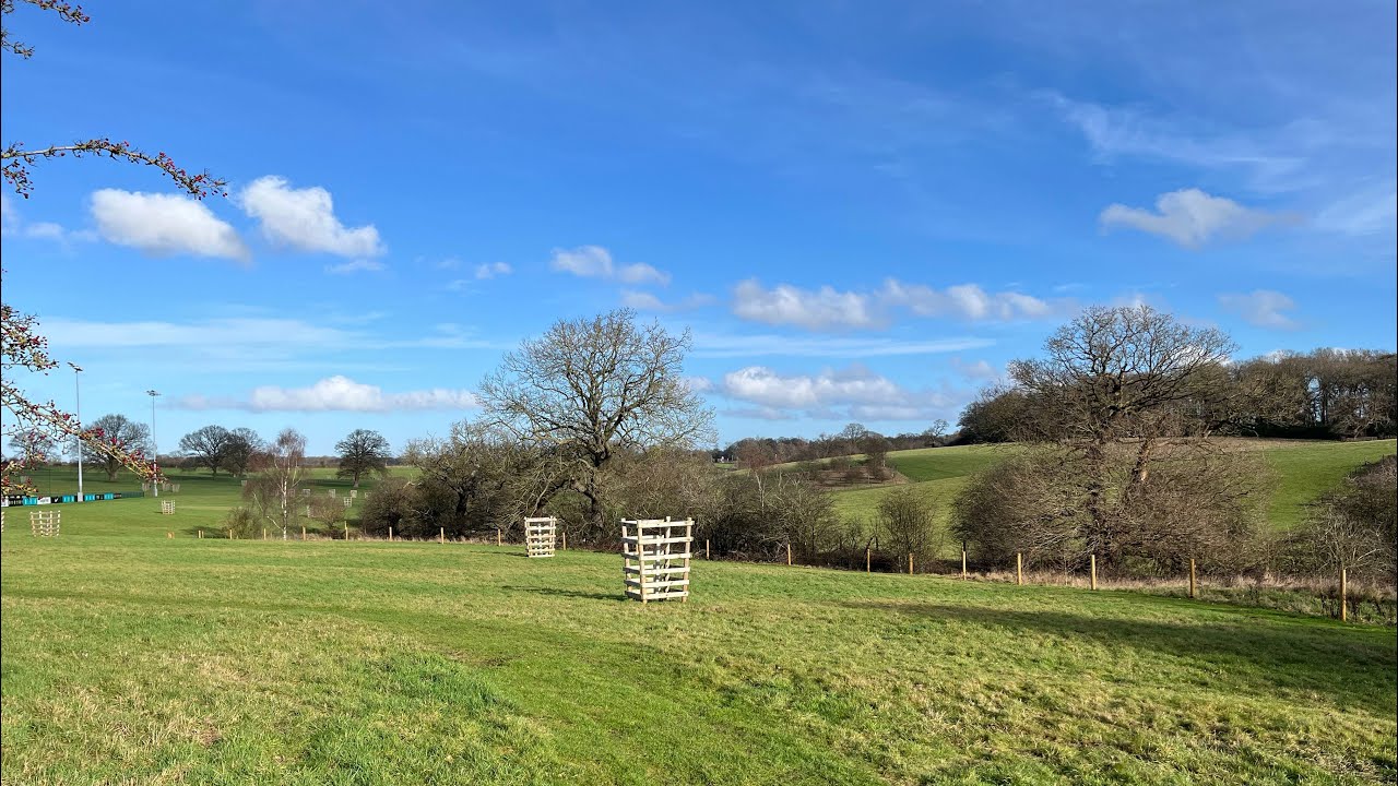 Weekly walk #41 St George’s Park, The National Forest | ASMR | No Music | Nature Sounds