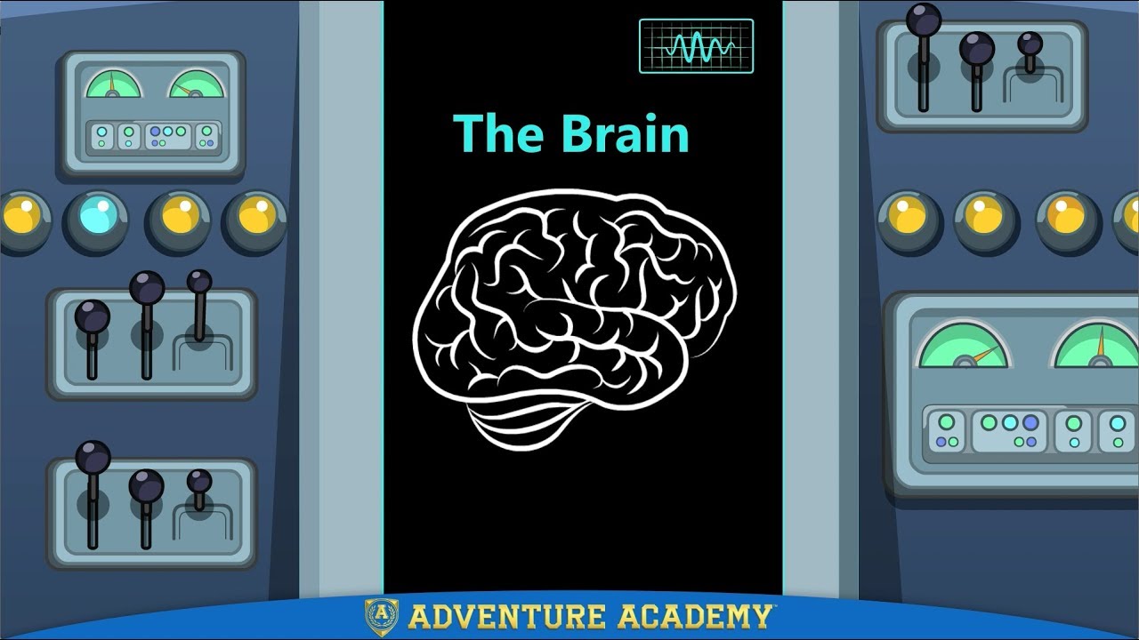 Escape from Fred: The Brain by Adventure Academy
