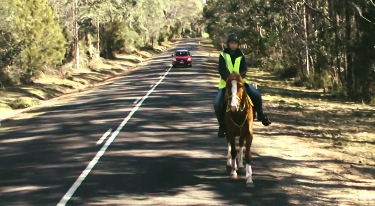 Car Safety around Horse Riders