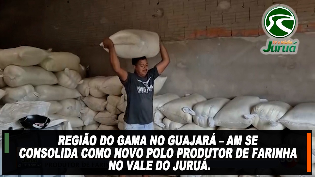 Região do Gama no Guajará – AM se consolida como novo polo produtor de farinha no Vale do Juruá.