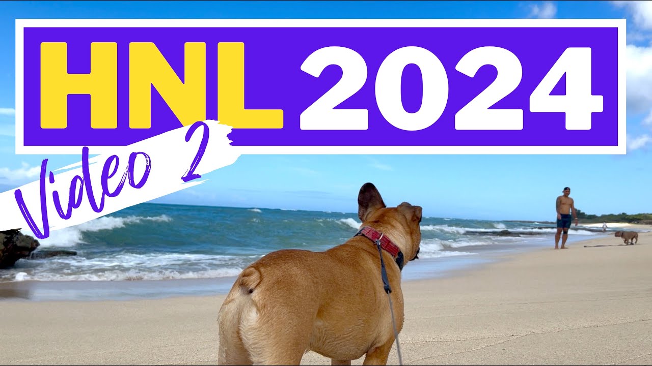 Summer in Hawaii: Honolulu 2024 Video 2
