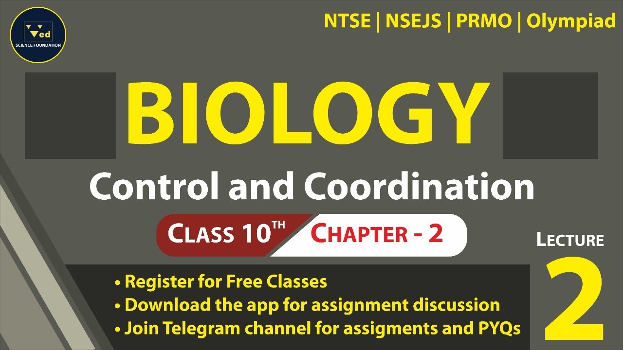 Class10 | Control and Coordination | Brain | Structure  | NCERT | CBSE | Ved Science Foundation