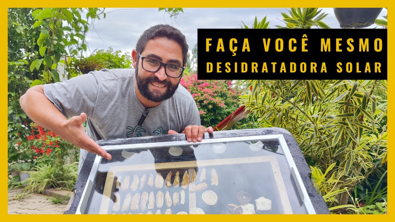 DESIDRATADOR de Alimentos feito em CASA