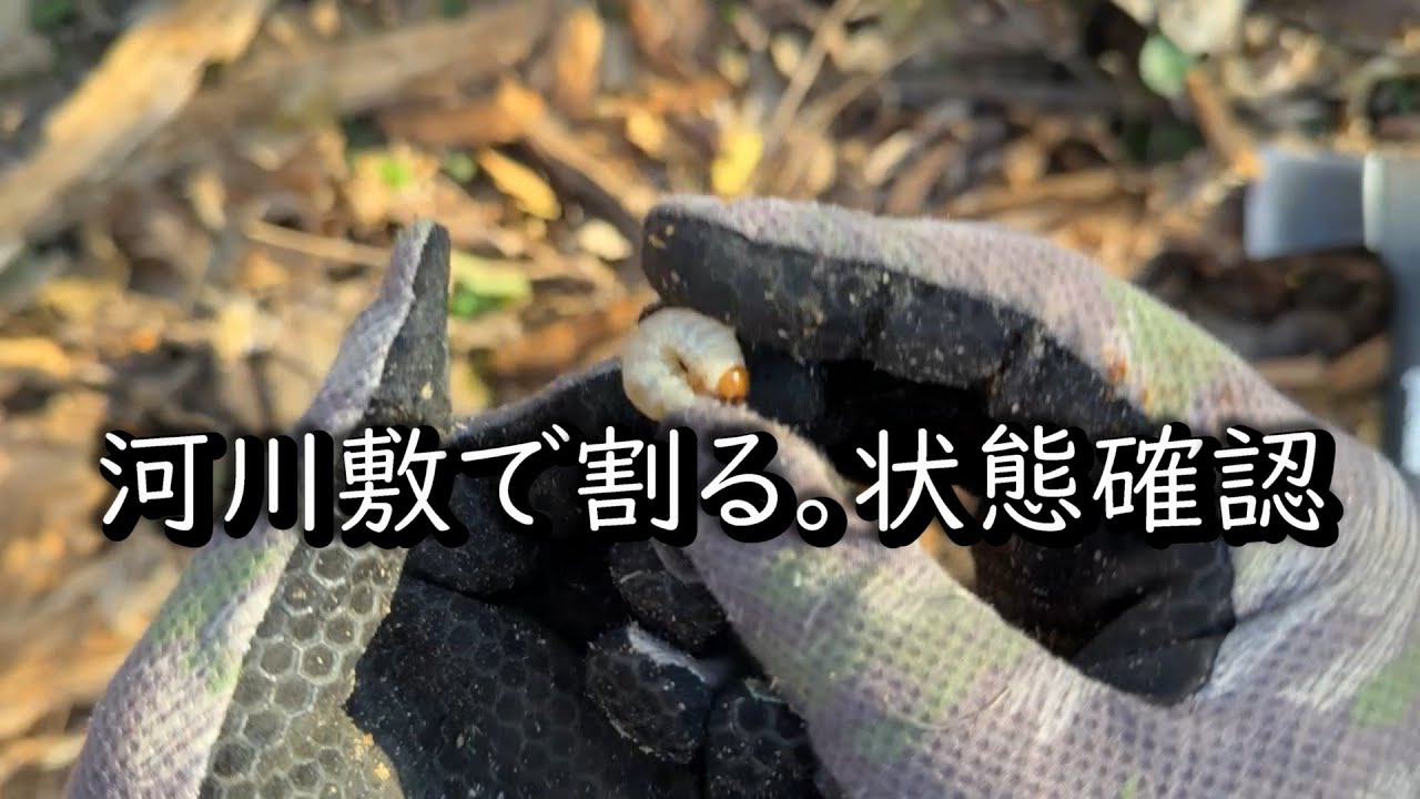 河川敷で割る。状態確認