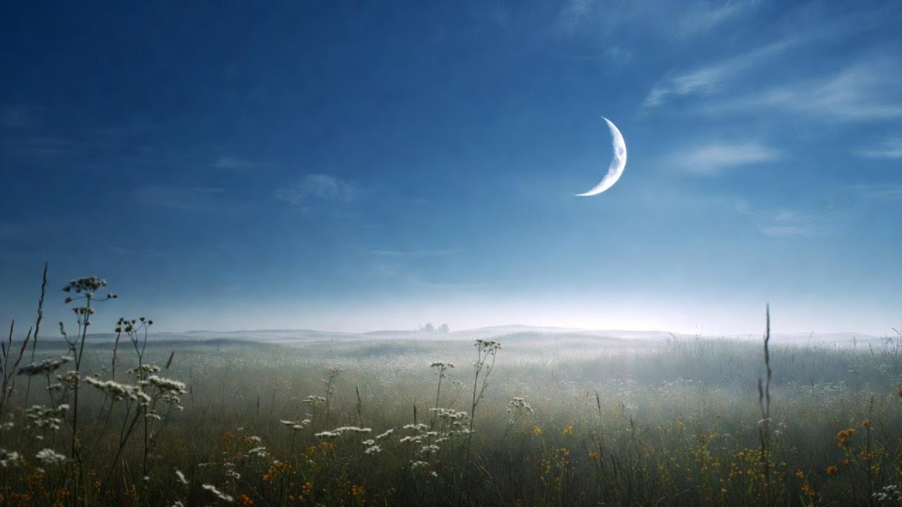 Deep Sleep Music for Insomnia & Anxiety | 8 Hours of Gentle Piano at Night
